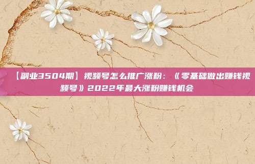 【副业3504期】视频号怎么推广涨粉：《零基础做出赚钱视频号》2022年最大涨粉赚钱机会