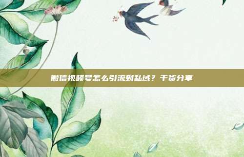 微信视频号怎么引流到私域？干货分享