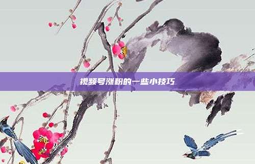 视频号涨粉的一些小技巧