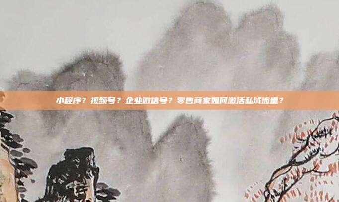 小程序?视频号?企业微信号?零售商家如何激活私域流量?