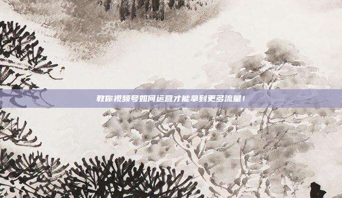 教你视频号如何运营才能拿到更多流量!