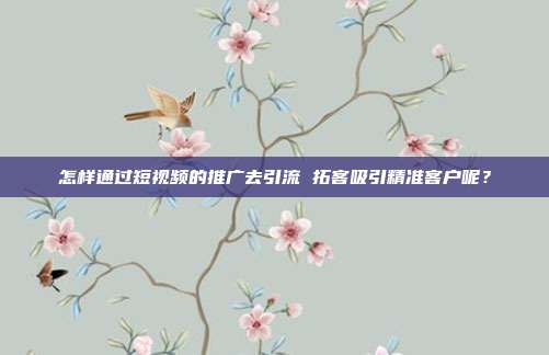 怎样通过短视频的推广去引流 拓客吸引精准客户呢？