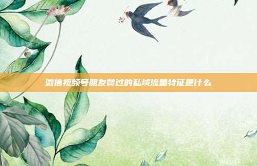 微信视频号朋友赞过的私域流量特征是什么