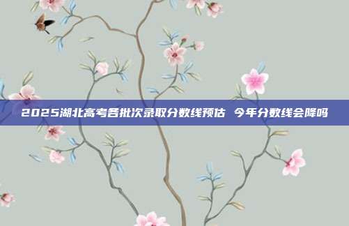2025湖北高考各批次录取分数线预估 今年分数线会降吗