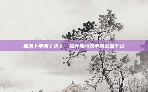 自助下单助手快手：提升电商效率的绝佳平台