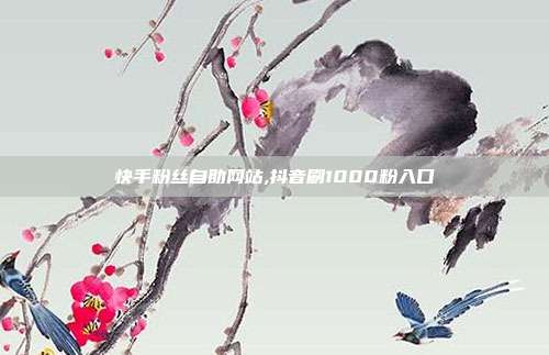 快手粉丝自助网站,抖音刷1000粉入口