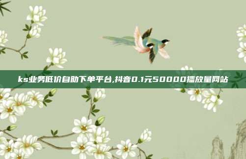 ks业务低价自助下单平台,抖音0.1元50000播放量网站