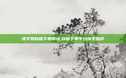 快手赞自助下单网址,自助下单平台快手热评
