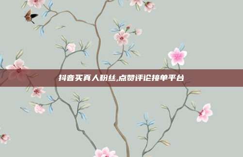 抖音买真人粉丝,点赞评论接单平台