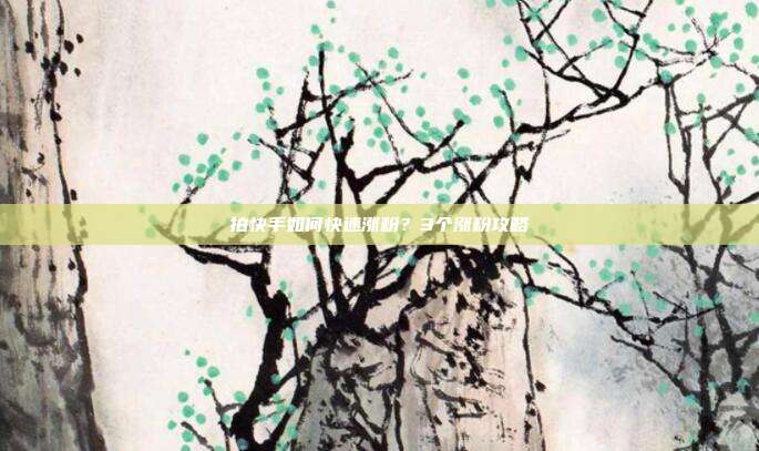 拍快手如何快速涨粉?3个涨粉攻略