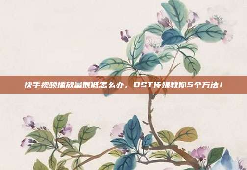 快手视频播放量很低怎么办,OST传媒教你5个方法!