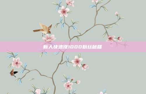 新人快速涨1000粉丝秘籍