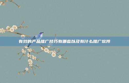 有效的产品推广技巧有哪些以及有什么推广软件