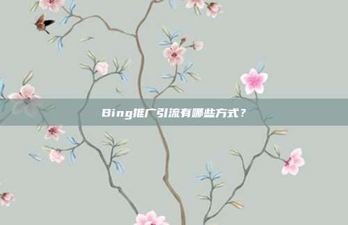 Bing推广引流有哪些方式?
