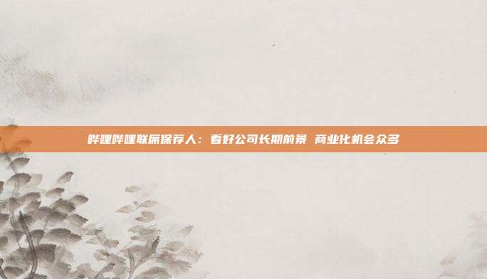 哔哩哔哩联席保荐人：看好公司长期前景 商业化机会众多