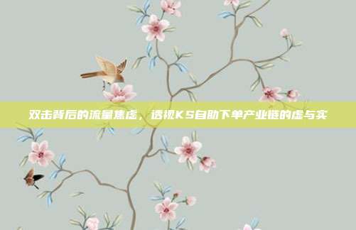 双击背后的流量焦虑，透视KS自助下单产业链的虚与实
