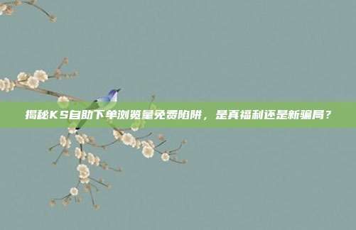 揭秘KS自助下单浏览量免费陷阱，是真福利还是新骗局？