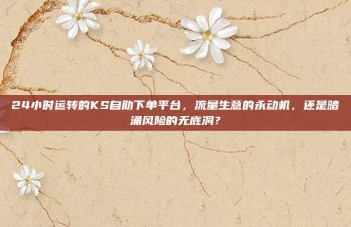 24小时运转的KS自助下单平台，流量生意的永动机，还是暗涌风险的无底洞？