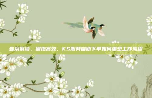 告别繁琐，拥抱高效，KS服务自助下单如何重塑工作流程