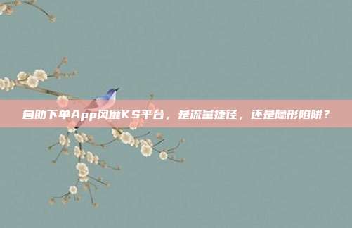 自助下单App风靡KS平台，是流量捷径，还是隐形陷阱？