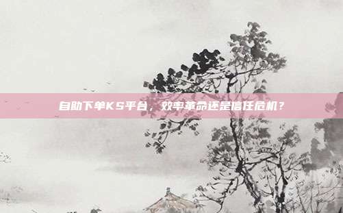 自助下单KS平台,效率革命还是信任危机?