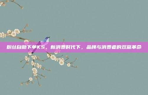 粉丝自助下单KS，新消费时代下，品牌与消费者的双赢革命