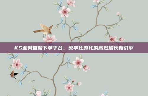 KS业务自助下单平台，数字化时代的高效增长新引擎