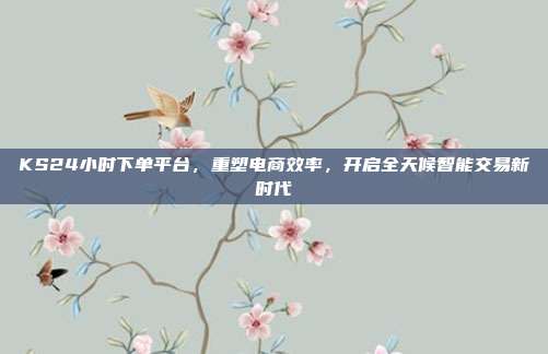 KS24小时下单平台，重塑电商效率，开启全天候智能交易新时代