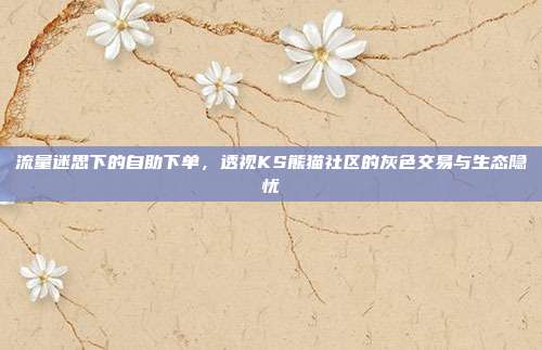 流量迷思下的自助下单，透视KS熊猫社区的灰色交易与生态隐忧