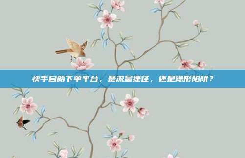 快手自助下单平台,是流量捷径,还是隐形陷阱?