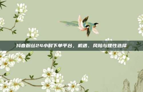 抖音粉丝24小时下单平台，机遇、风险与理性选择