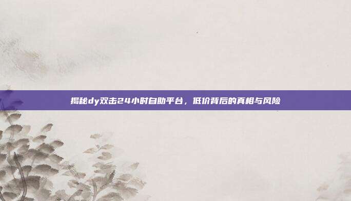 揭秘dy双击24小时自助平台，低价背后的真相与风险