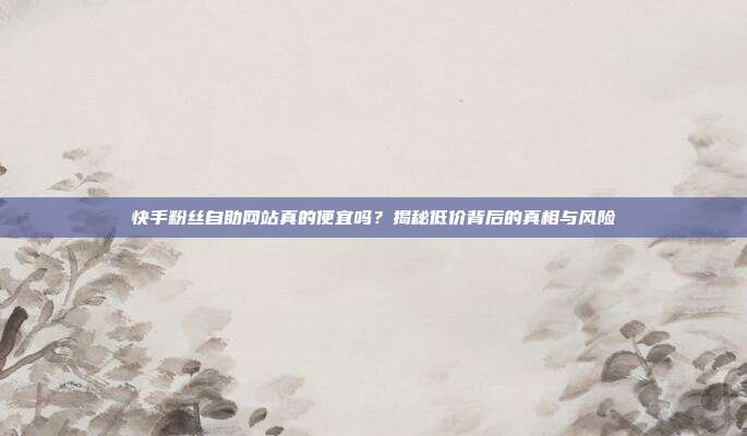 快手粉丝自助网站真的便宜吗？揭秘低价背后的真相与风险
