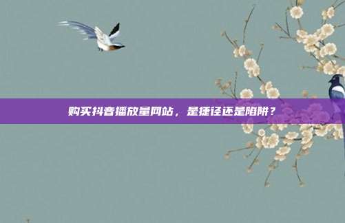 购买抖音播放量网站,是捷径还是陷阱?