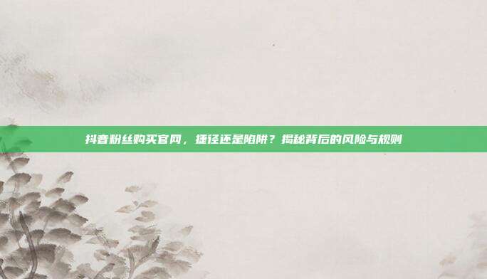 抖音粉丝购买官网，捷径还是陷阱？揭秘背后的风险与规则