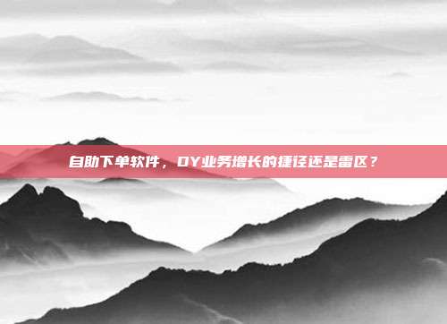 自助下单软件,DY业务增长的捷径还是雷区?