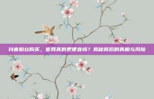 抖音粉丝购买，官网真的更便宜吗？揭秘背后的真相与风险