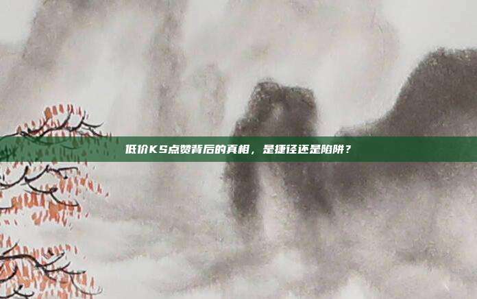 低价KS点赞背后的真相，是捷径还是陷阱？
