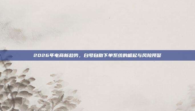2026年电商新趋势，白号自助下单系统的崛起与风险预警