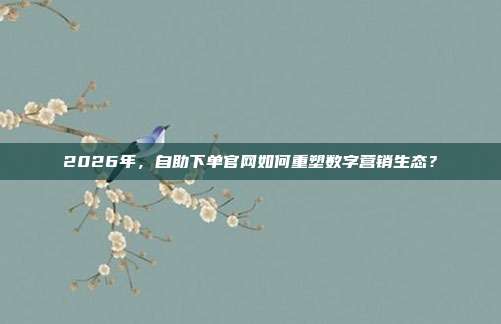 2026年,自助下单官网如何重塑数字营销生态?