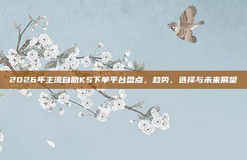 2026年主流自助KS下单平台盘点,趋势、选择与未来展望