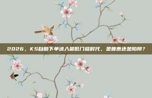 2026，KS自助下单进入最低门槛时代，是普惠还是陷阱？