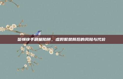 警惕快手刷量陷阱，虚假繁荣背后的风险与代价