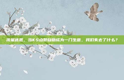 流量迷思,当KS点赞自助成为一门生意,我们失去了什么?