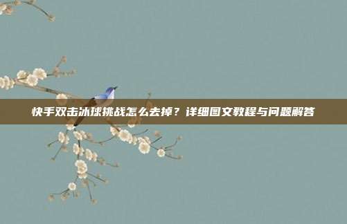 快手双击冰球挑战怎么去掉？详细图文教程与问题解答