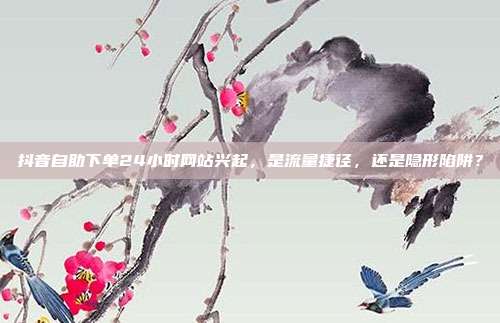 抖音自助下单24小时网站兴起,是流量捷径,还是隐形陷阱?