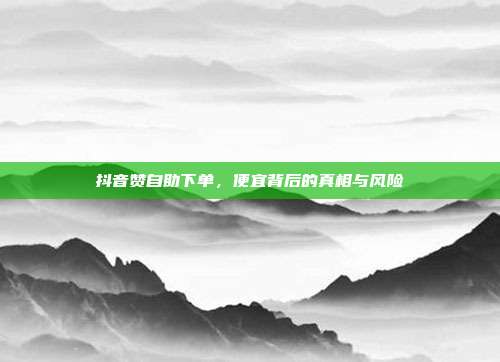 抖音赞自助下单，便宜背后的真相与风险