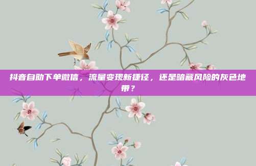 抖音自助下单微信，流量变现新捷径，还是暗藏风险的灰色地带？