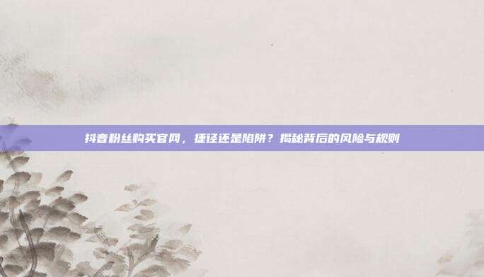抖音粉丝购买官网,捷径还是陷阱?揭秘背后的风险与规则