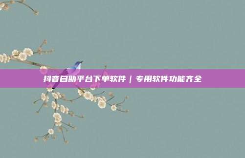 抖音自助平台下单软件｜专用软件功能齐全